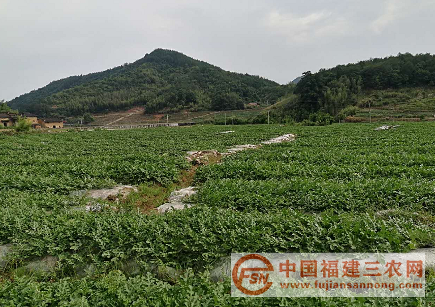 微信截图_20180601102616.png