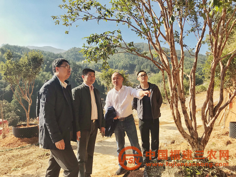 图片18.png
