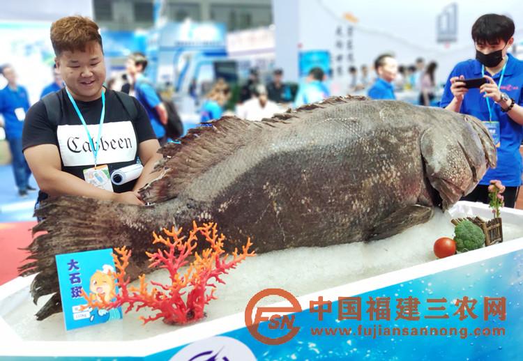 展会现场.jpg