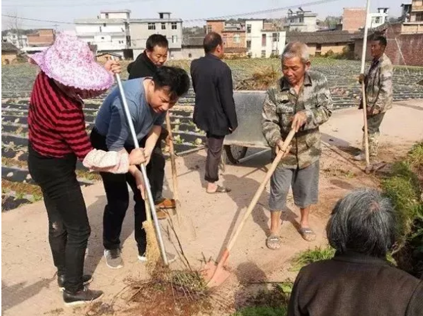 微信图片_20191128091705.png