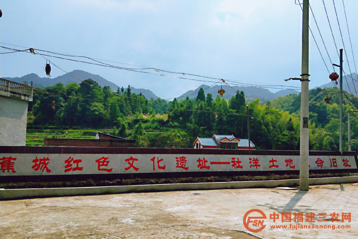 图片14.png