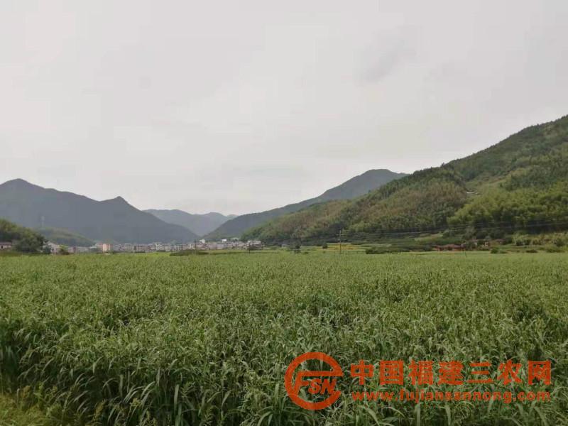 微信图片_20200912191708_meitu_2.jpg