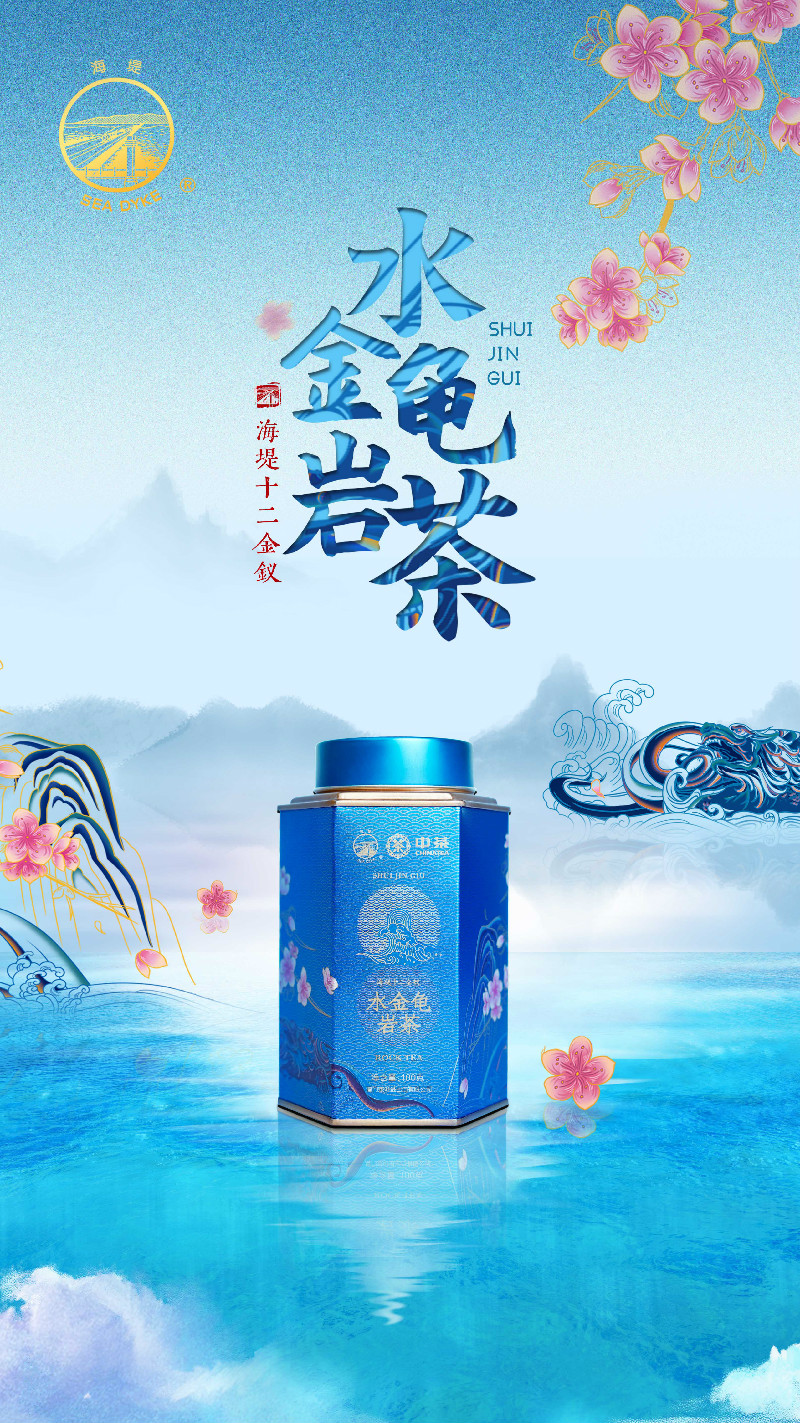 zhongchahaidishuijinguiyanchahaibao1.jpg