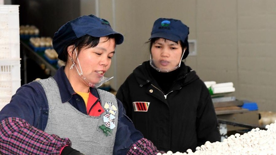 null 43a2e5eb-d3fc-4e21-98c4-aff19f1094ec.jpg