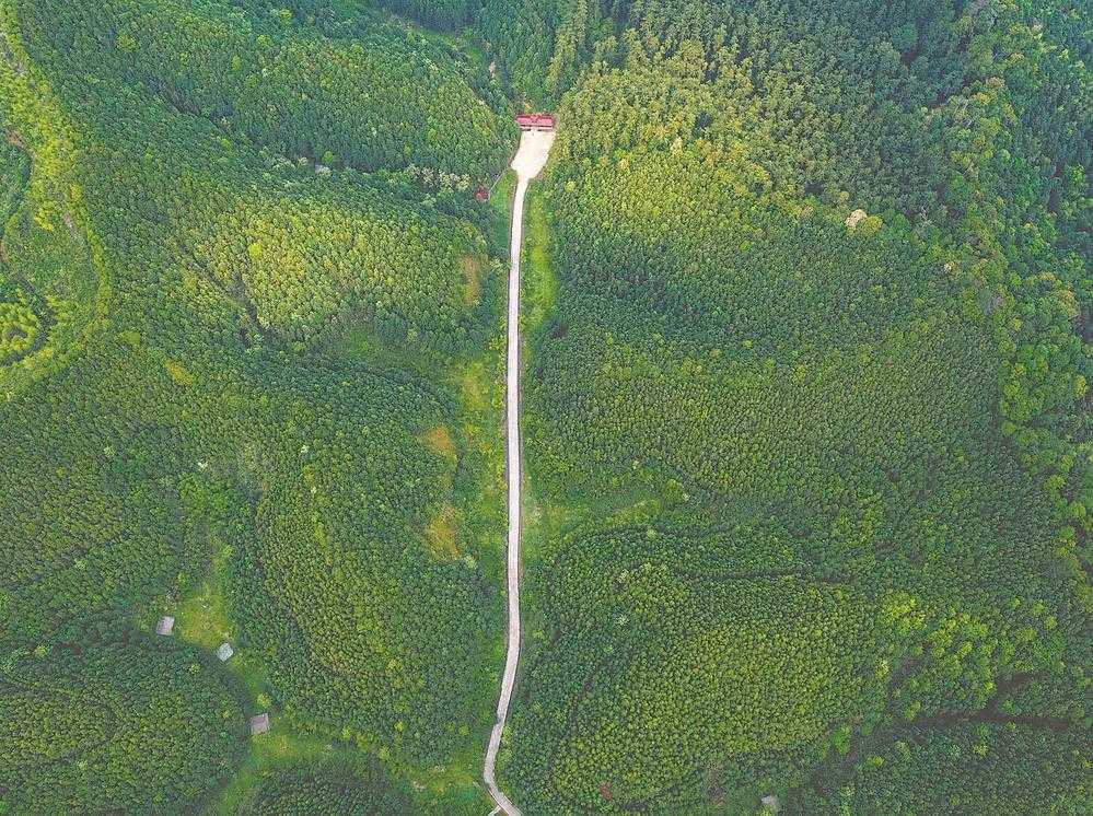 35712723891224416.jpg