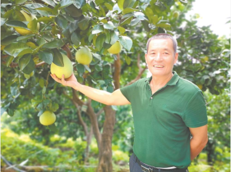 华安.png