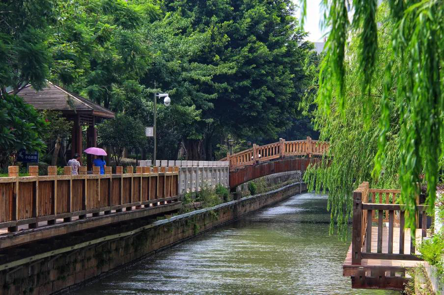 马尾8.jpg