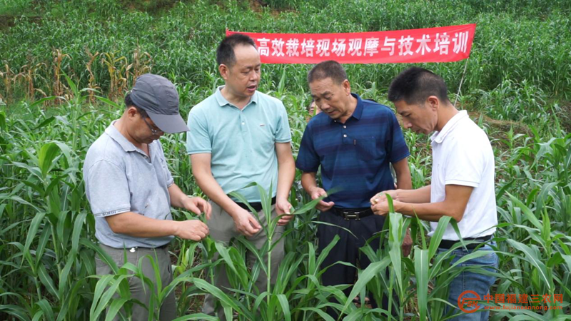 图片5_副本.png