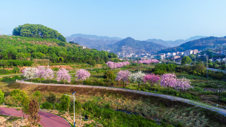 稿1：福建永春：环境整治颜值长 吾峰小镇增魅力22.png