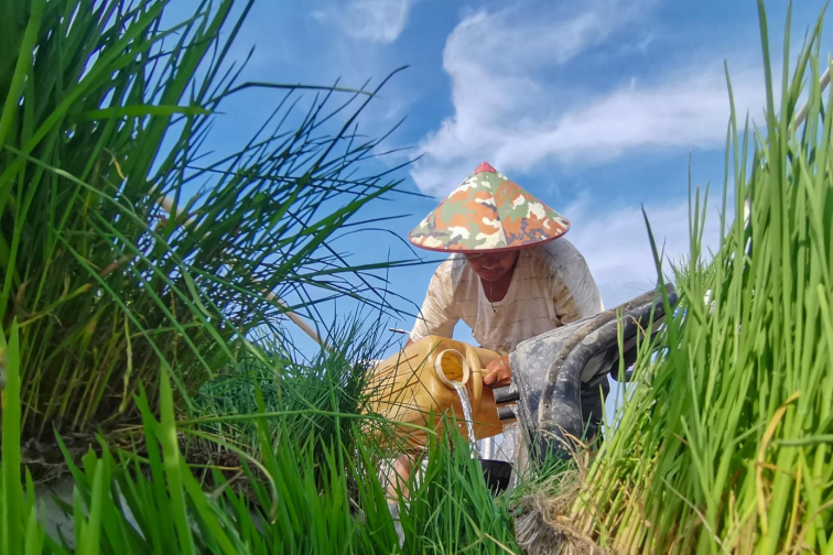 11.俞永椿：投笔从农甘当种粮人1736.png
