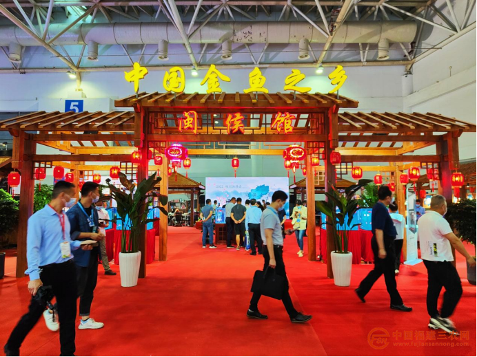 第九届中国（福州）金鱼文化节举行18.png