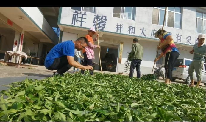 46.黄东锋：“书生”勤业茶自香1309.png