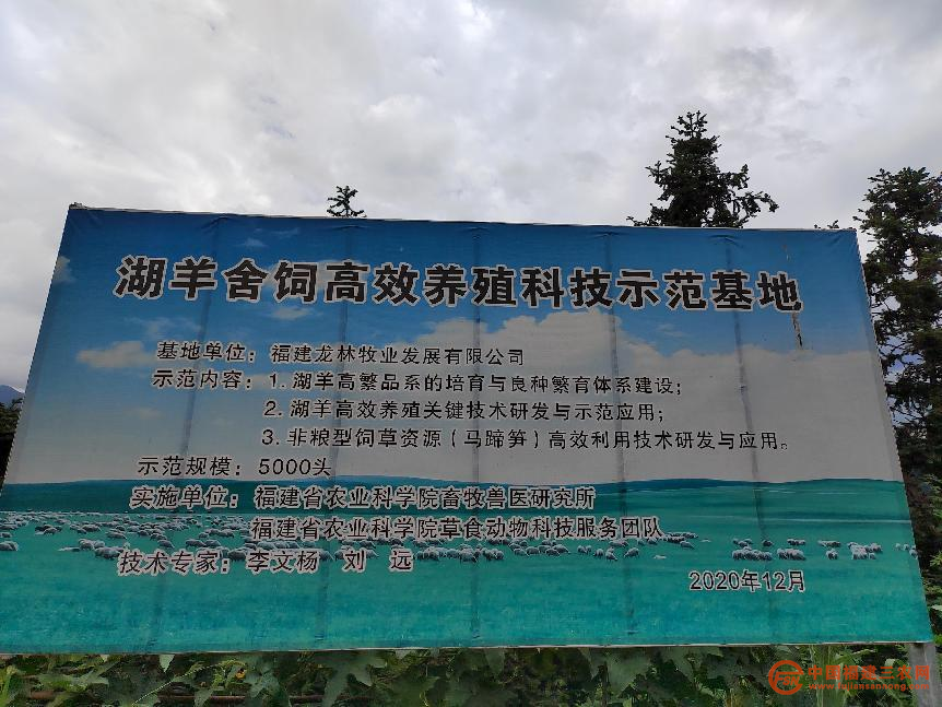 图片5.png