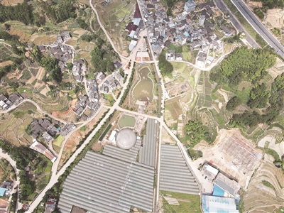 p1_b.jpg