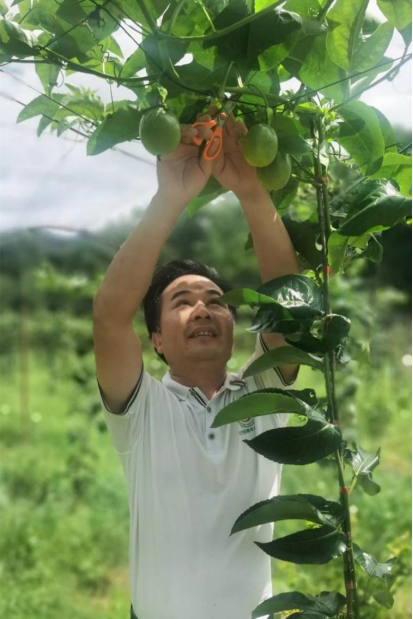 95.郭东鲲：掌好乡村产业发展之“舵”（漳州，胡光华）123.png