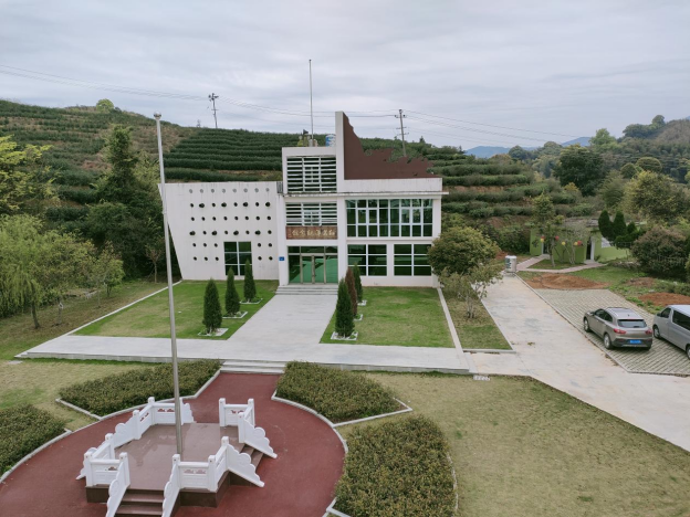 稿3：宁德福鼎：“红茗洋”建设“五步走”248.png