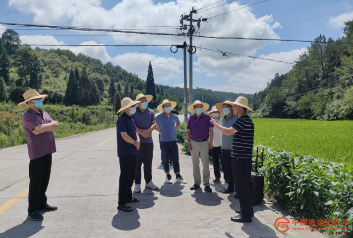 科技特派员在杨源乡茶林村进行粮食种植现场指导.png