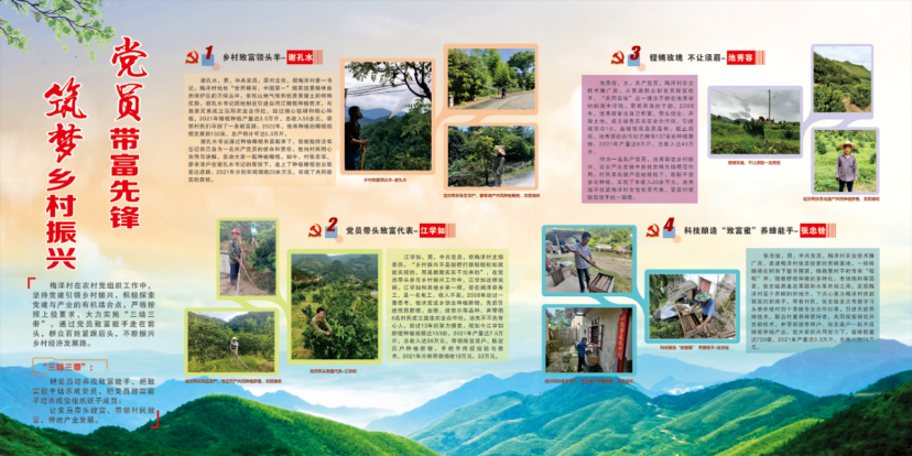 闽清梅洋村：党员带富小山村 群众致富有出路
