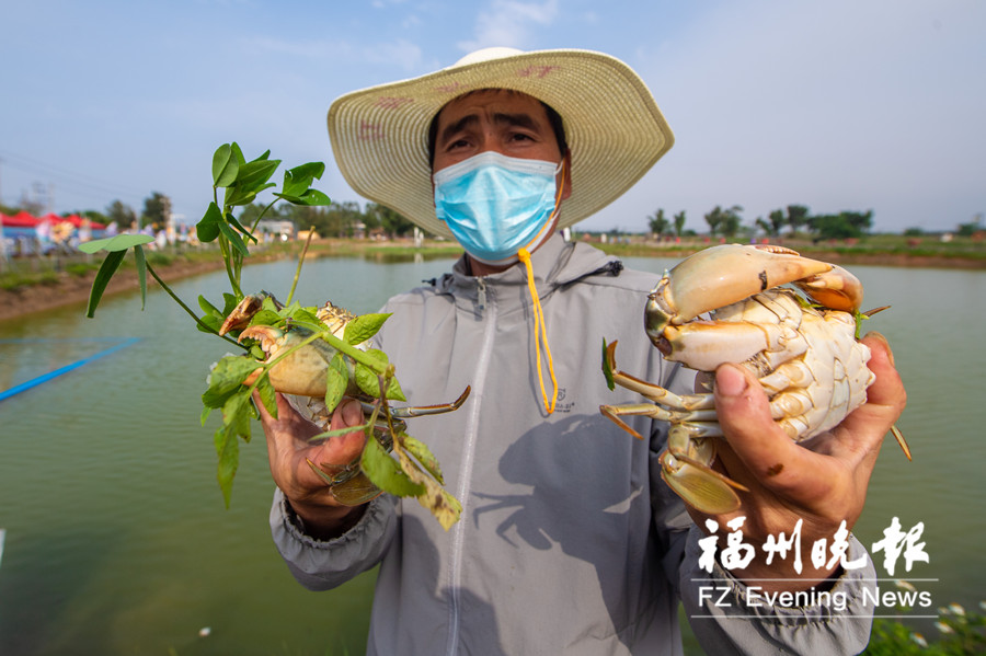 马尾东红村：盐碱滩变聚宝盆