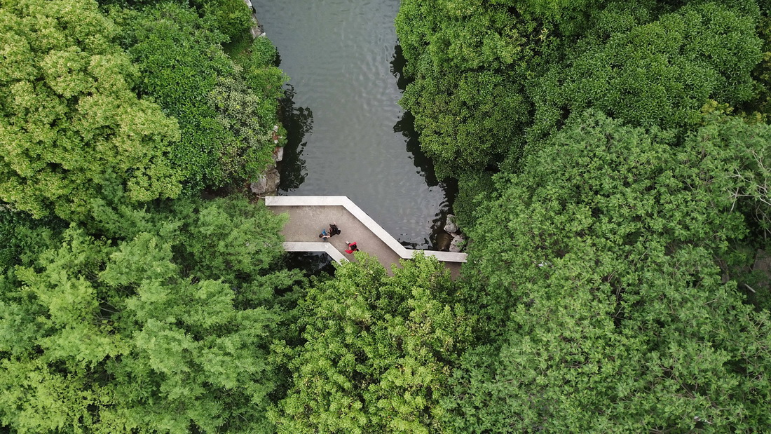 2021年5月5日，市民在合肥市环城公园散步（无人机照片）。 新华社记者 张端 摄