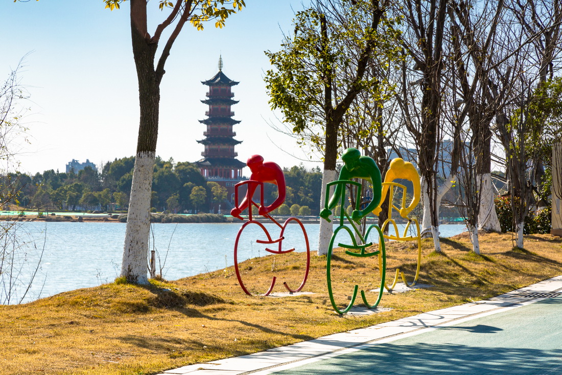 位于南昌市西湖区的象湖湿地公园（2021年1月12日摄）。新华社发（范玮 摄）
