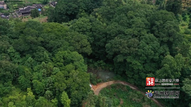 第二批福建最美古树遴选结果揭晓 福州两个古树群上榜