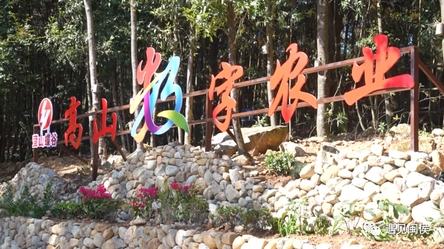 酷！闽侯洋里这个村用“黑科技”发展农业
