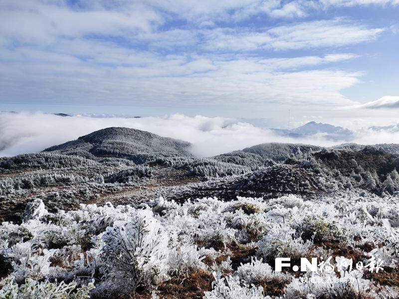 瑞雪兆丰年 闽侯大湖乡雪花雾凇齐上阵