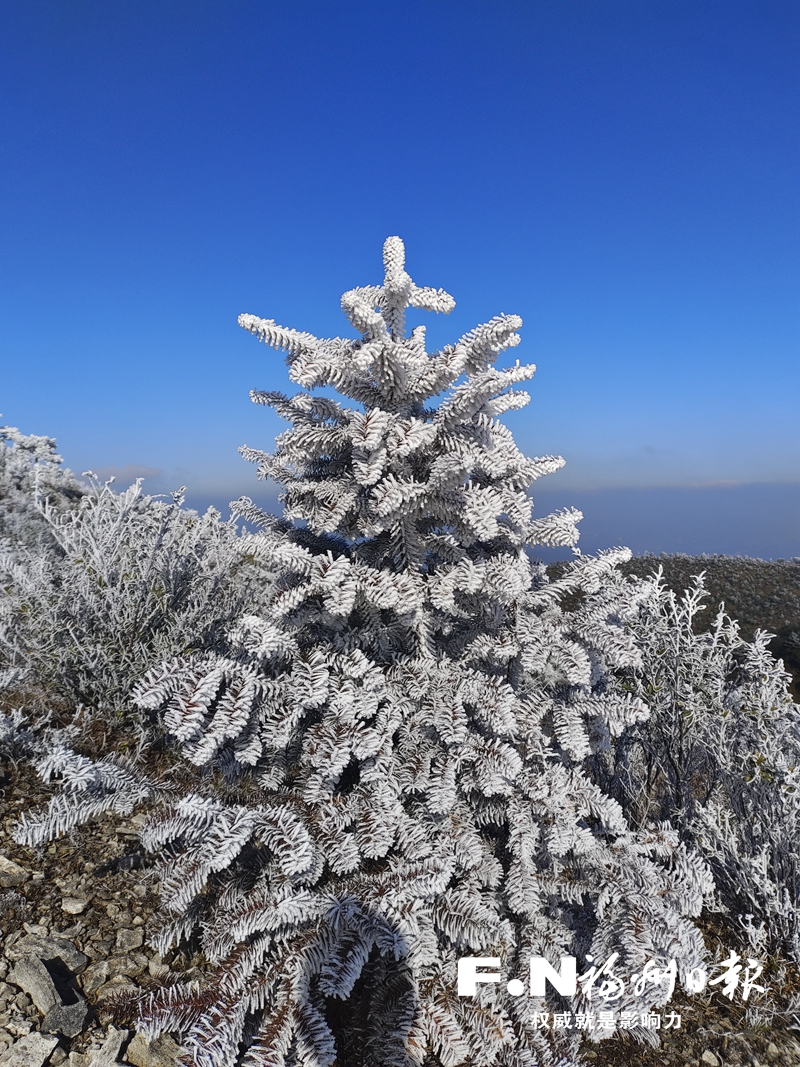 瑞雪兆丰年 闽侯大湖乡雪花雾凇齐上阵