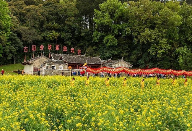 《上杭古田会议会址》 上杭县油菜花。蓝善祥摄