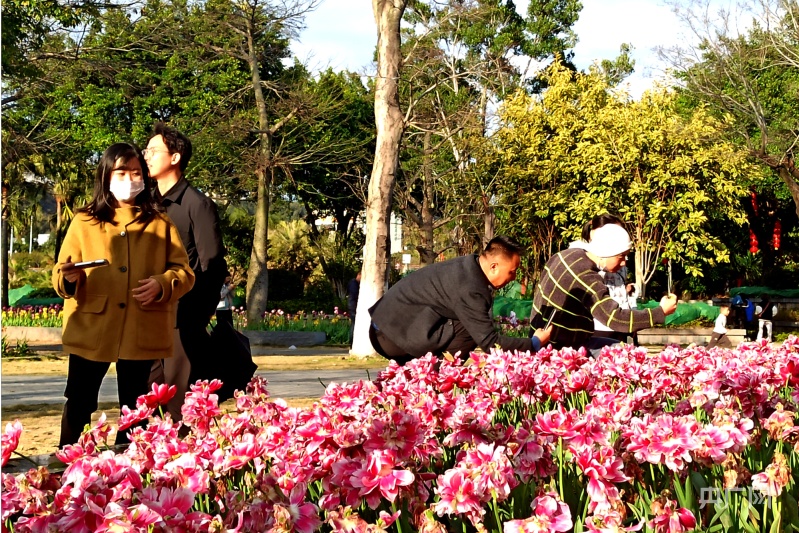 福州公园鲜花盛放 游客纷至沓来