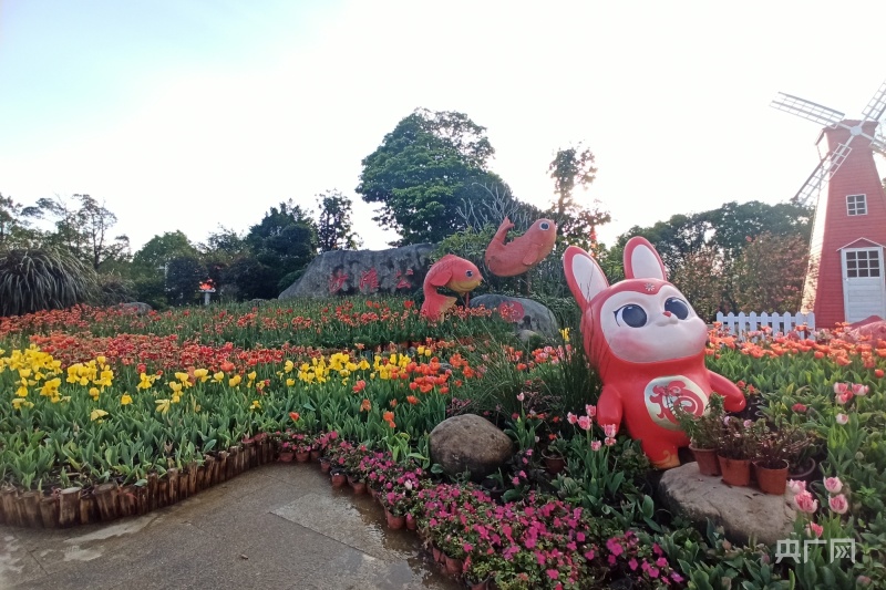 福州公园鲜花盛放 游客纷至沓来