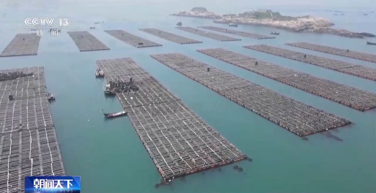 “南鲍北养” 12亿粒鲍鱼转场北上