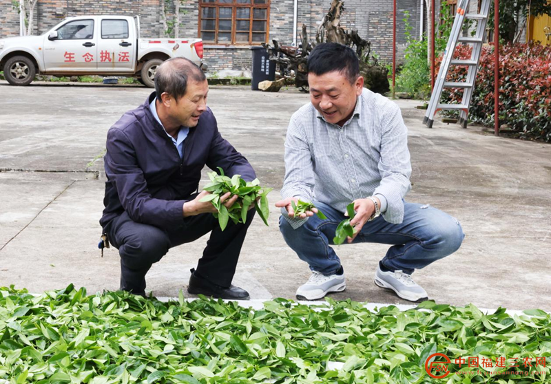 图片8_副本.png