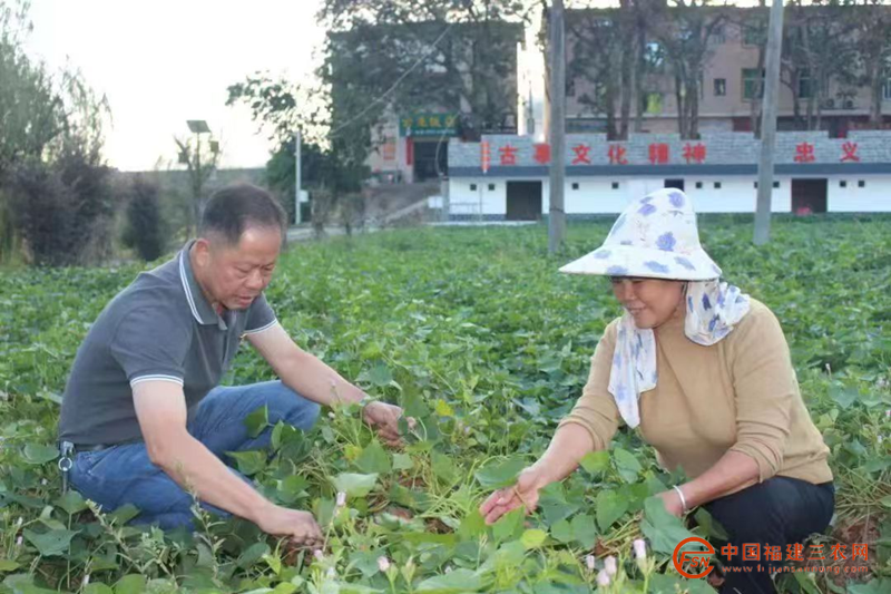 图片6_副本.png