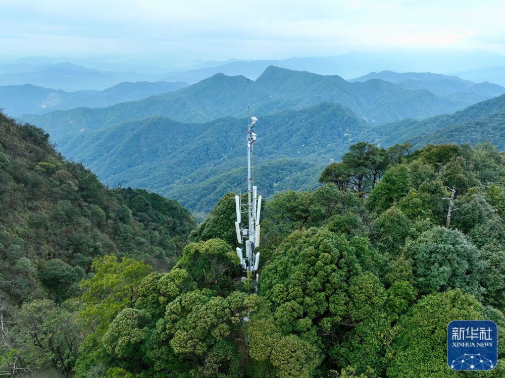 福建加快构建野生动植物智慧保护体系