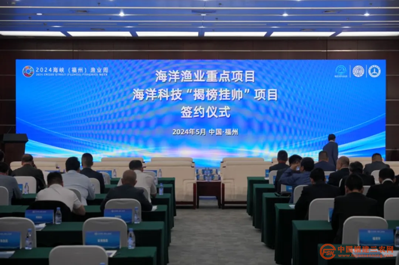 图片6_副本.png