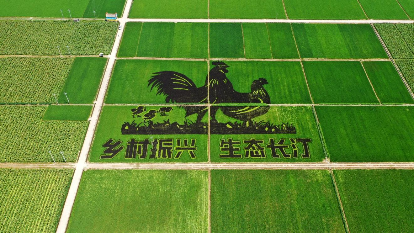 图片5.png