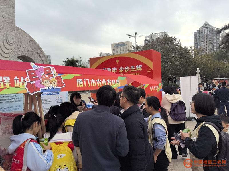 图片12.png