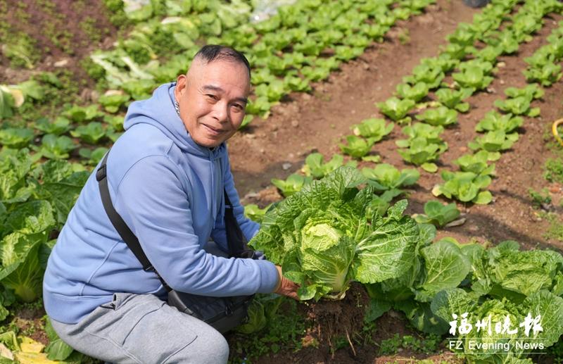 陈开端：农民信赖的“植物医生”