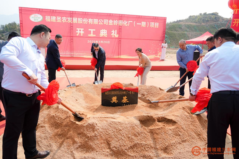 图片13.png
