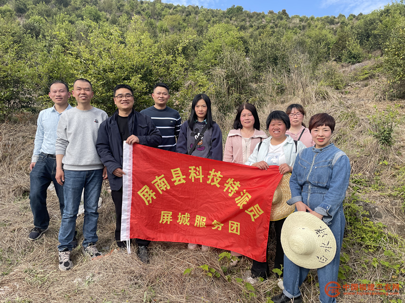图片6.png