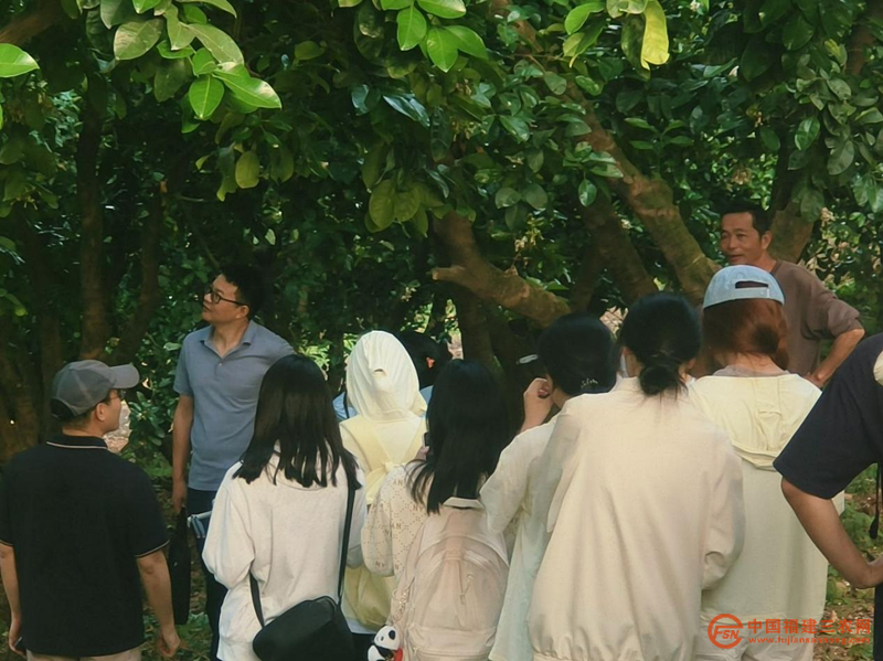 图片11.png