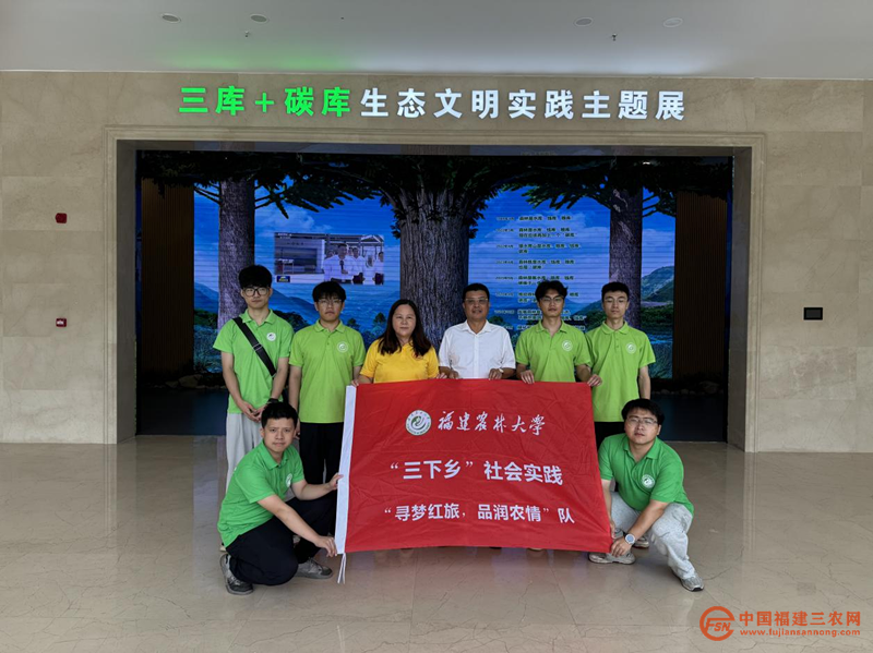 图片29.png
