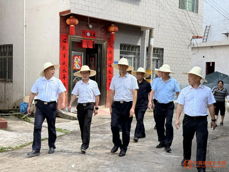 图片12.png