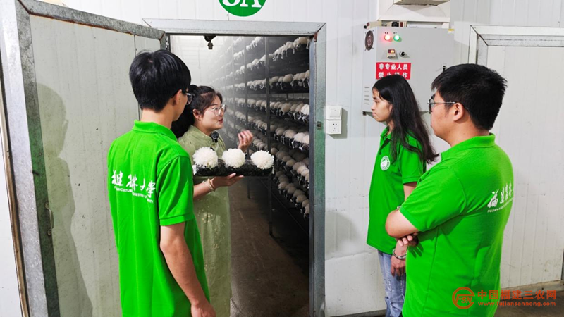 图片22.png