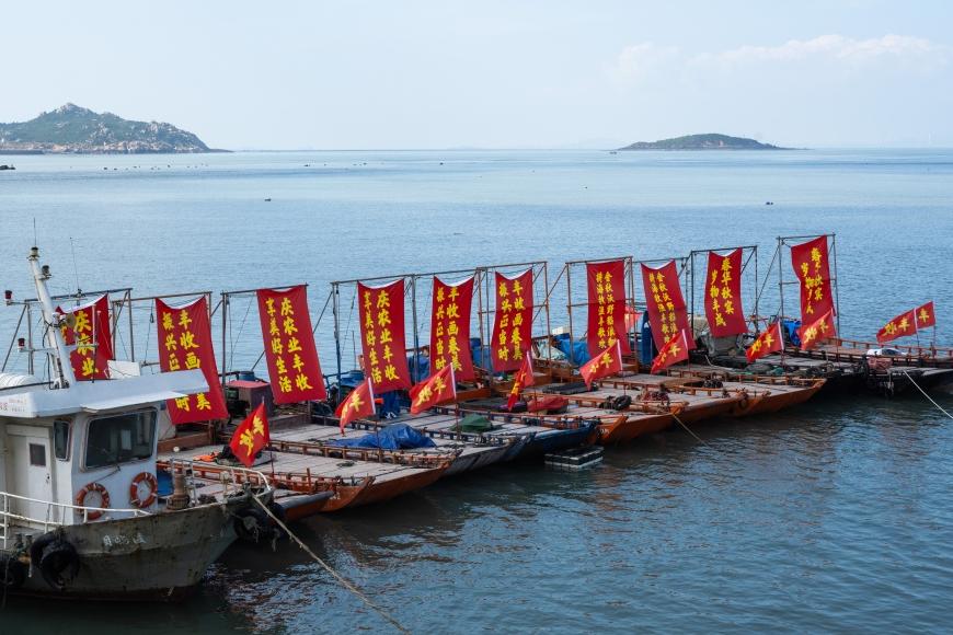 2025年福清农民丰收节启幕 山海欢歌共绘振兴图景