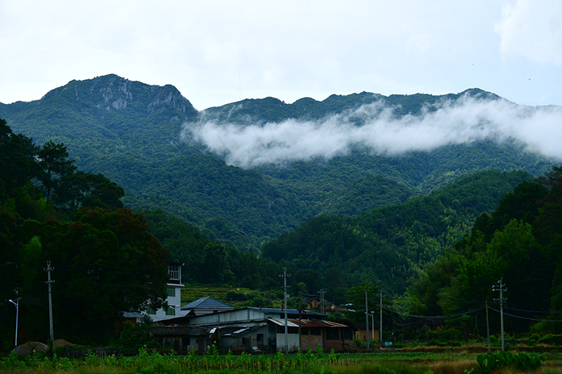馆前镇坪埔村山河秀丽.JPG