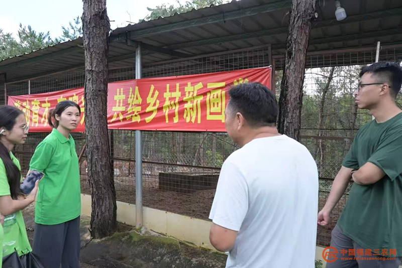 图片14.png