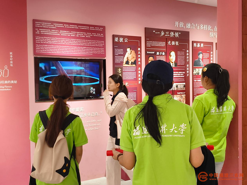 图片30.png